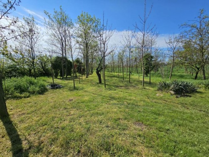 Plac, Novi Grad, 33a (ID: 111765) | Nekretnine Subotica