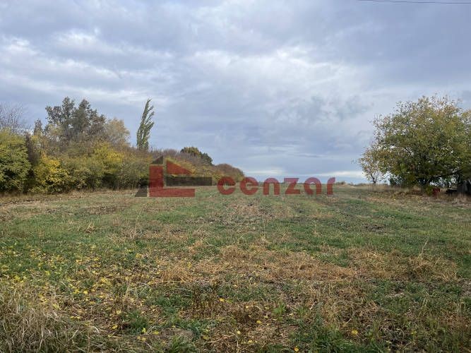 Plac, Radanovac, 546.28a (ID: 116782) | Nekretnine Subotica