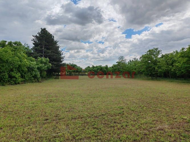 Plac, Srpski Šor, 14.13a (ID: 111804) | Nekretnine Subotica