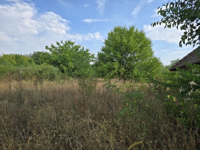 Plac, Stolarska, 10.75a (ID: 116811) | Nekretnine Subotica