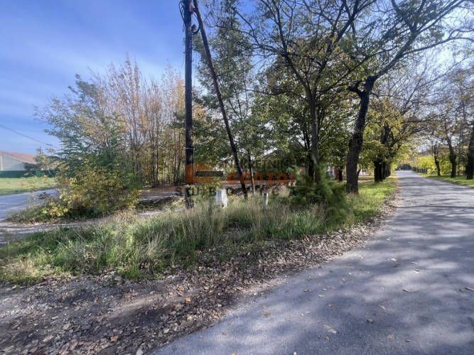 Kuća, Palić, 223m2 (ID: 117811) | Nekretnine Subotica