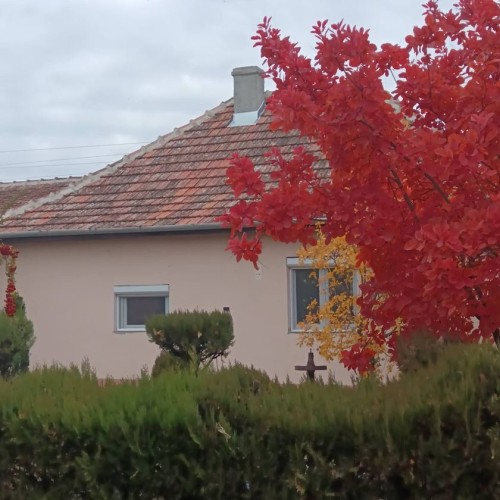 Kuća, Radanovac, 128m2 (ID: 103854) | Nekretnine Subotica