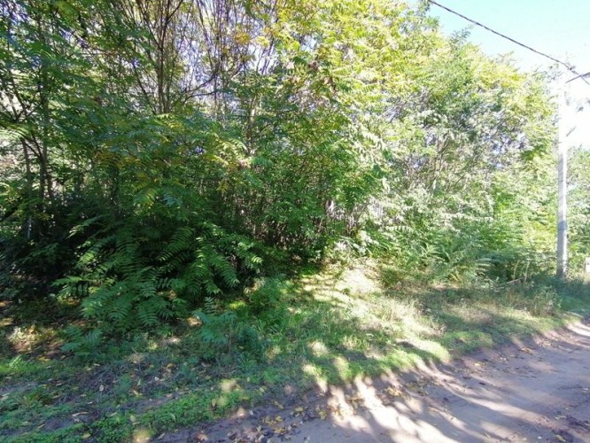 Plac, Srpski Šor, 36.61a (ID: 116856) | Nekretnine Subotica