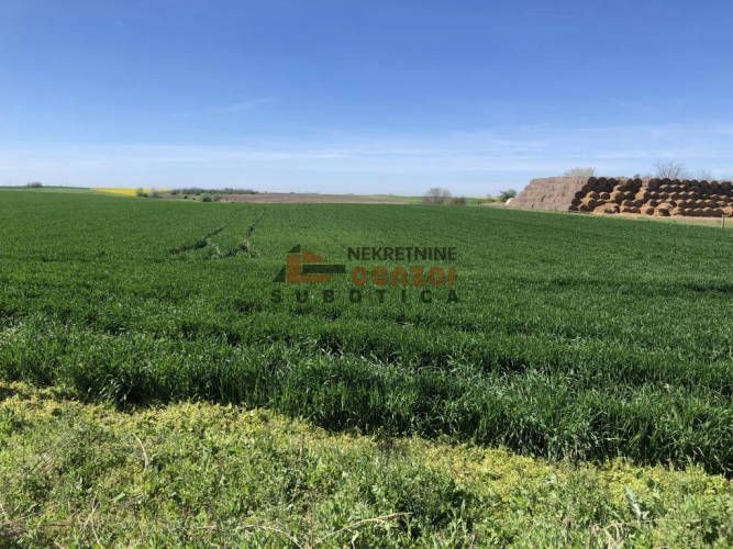 Plac, Stari Žednik, 578.84a (ID: 109874) | Nekretnine Subotica