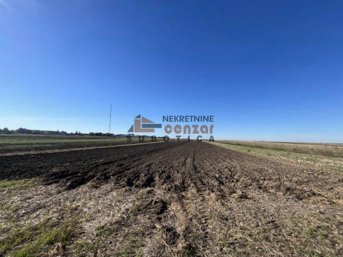 Plac, Bački Vinogradi, 143.77a (ID: 109879) | Nekretnine Subotica