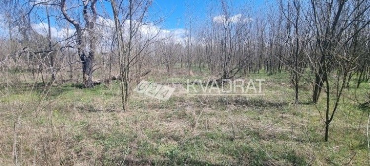 Plac, Kelebija, 7.2a (ID: 105886) | Nekretnine Subotica