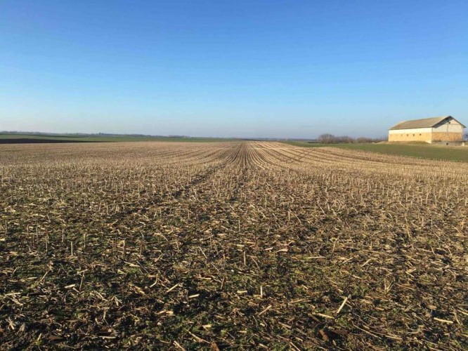 Plac, Gornji Tavankut, 874.58a (ID: 98904) | Nekretnine Subotica