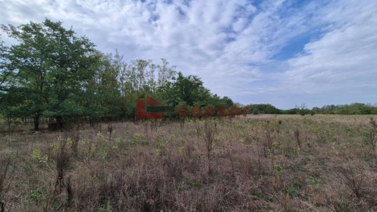 Plac, Kelebija, 35.95a (ID: 111908) | Nekretnine Subotica