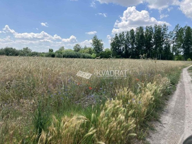 Plac, Makova Sedmica, 7.15a (ID: 112936) | Nekretnine Subotica