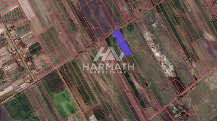 Plac, Bački vinograd salaši, 145.83a (ID: 107982) | Nekretnine Subotica