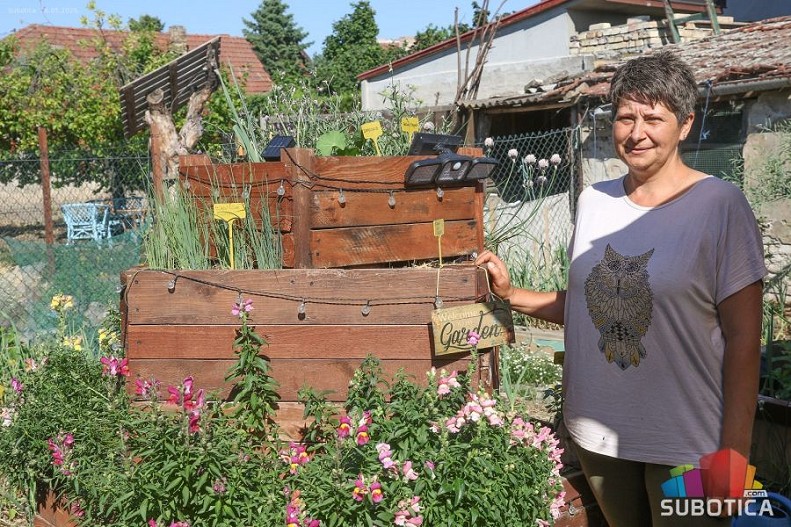 Bašta koja rađa i zimi: Svetlanin raj u kojem cveće štiti povrće, a zemlja se ne prekopava