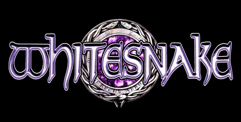 Whitesnake night