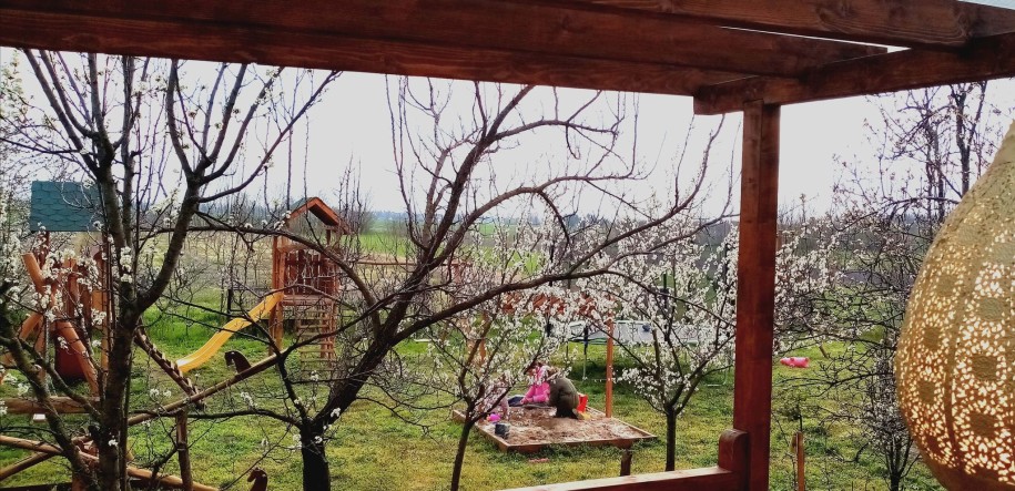 Dečiji eko kamp