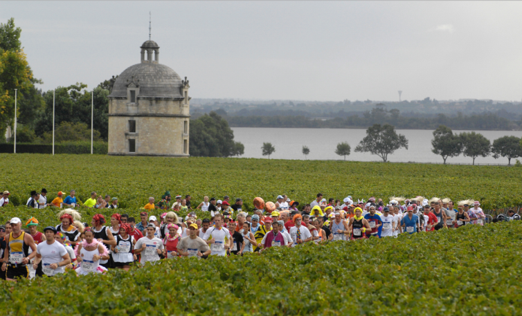 Vinski maraton