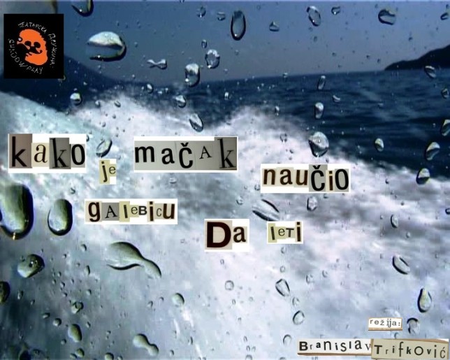 Dečja predstava: Kako je mačak naučio galebicu da leti