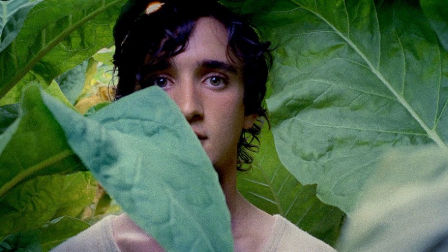 25. Festival evropskog filma Palić: Takmičarski program: Srećan kao Lazzaro