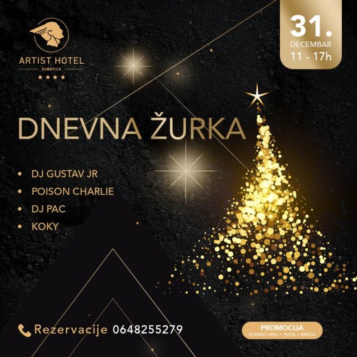 Dnevna žurka u Artist hotelu
