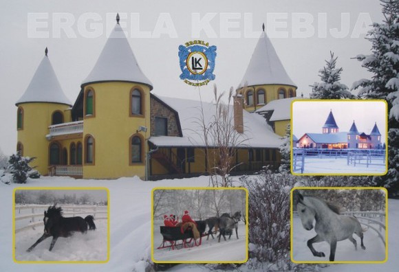 Doček Nove godine na Ergeli Kelebija