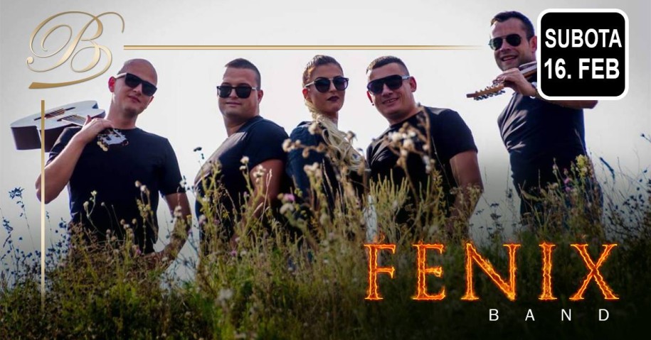 Fenix band