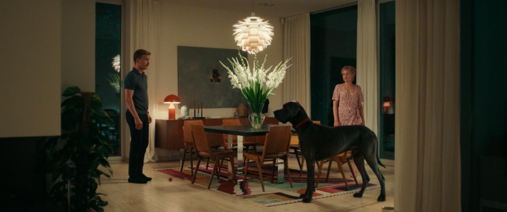Film: Paun