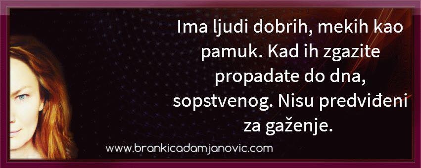 Veče sa Brankicom