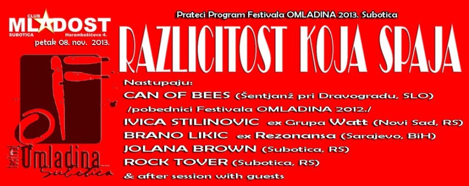 Različitost koja spaja - prateći program Festivala "Omladina 2013"