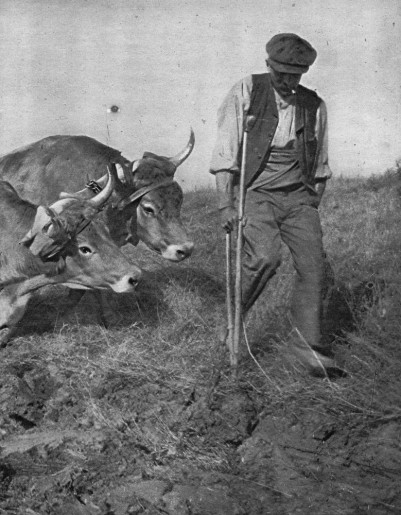 Predavanje: 1918. - poslednja austrougarska godina u Subotici