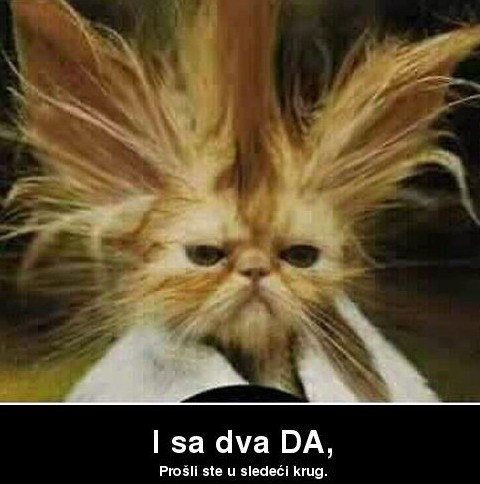 svirka benda " NEĐO I DRUŽINA " naživo
