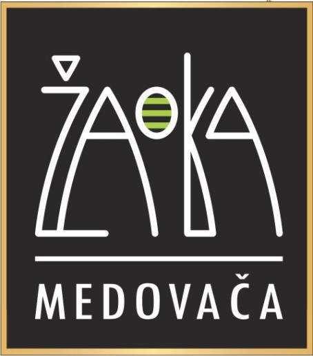 Saša Babić i Mega Band