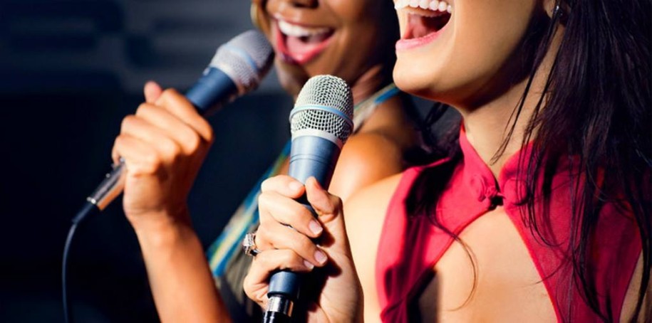 Karaoke with Silvan Vesnić