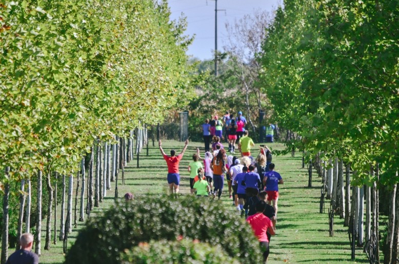 Vinski maraton