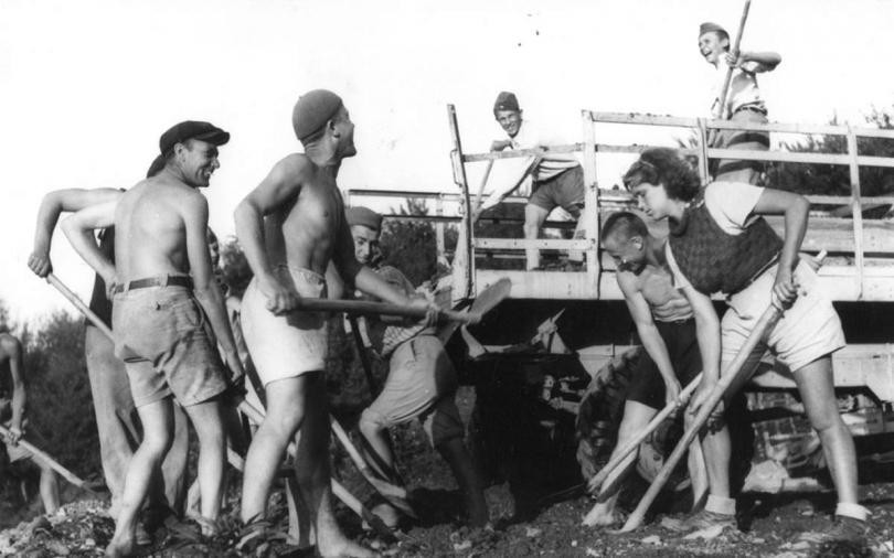 Dan Akcijaša
