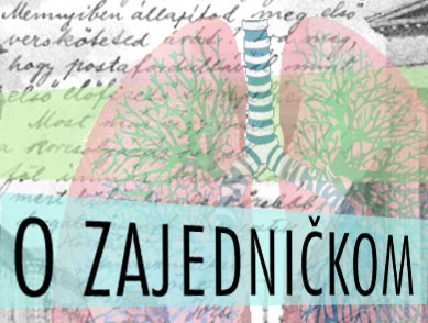 O ZAJEDNIČKOM: SLOBODA I POLITIKE PRIPADNOSTI