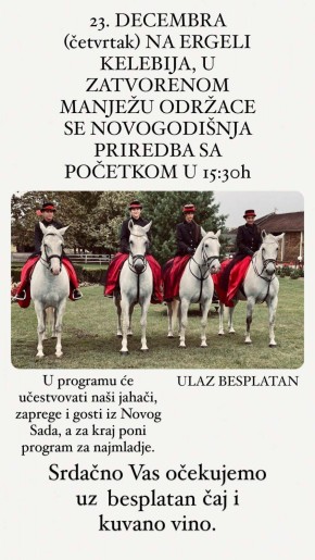Novogodišnja priredba lipicanera