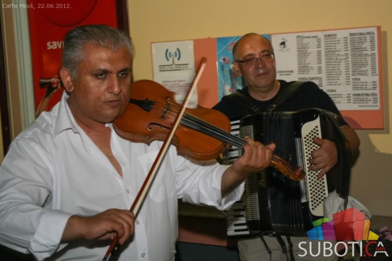 Violina, harmonika & Lav twist