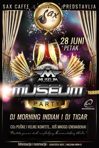 Museum night with DJ Morning indian & DJ Tigar