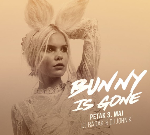 Bunny is gone