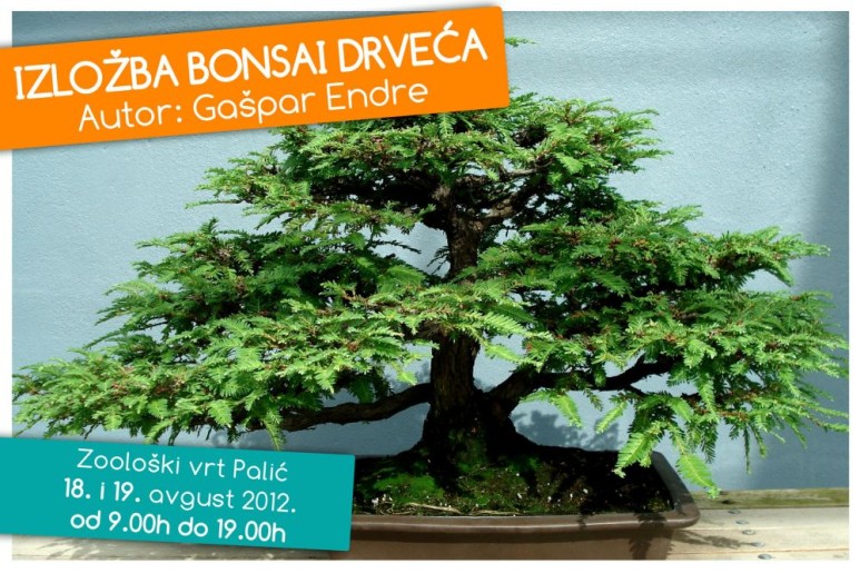 Izložba bonsai drveća