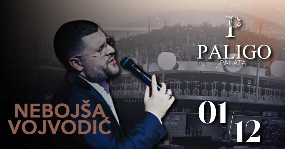 Nebojša Vojvodić - Paligo Palata