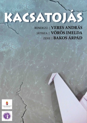 KACSATOJÁS  magyar nyelvű előadás  4