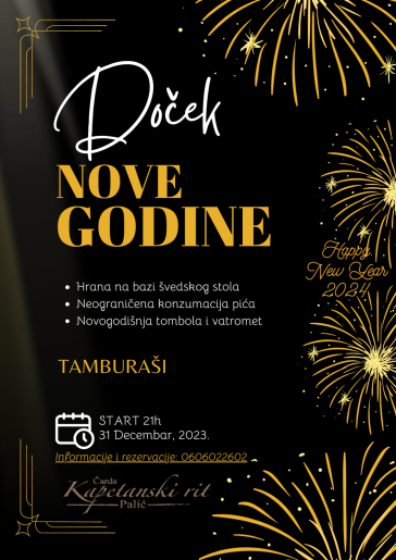 Doček Nove godine na obali Palića