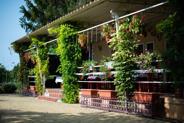 Novogodišnji ručak u restoranu Shiraz