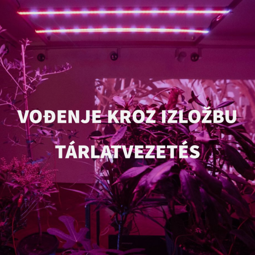 Vođenje kroz izložbu Hybrid Choices: Art, Nature, Technology