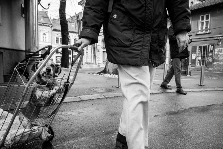Noć muzeja: Izložba fotografija “Little Saturday“