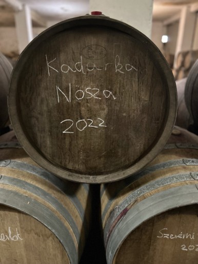 Vinski klub