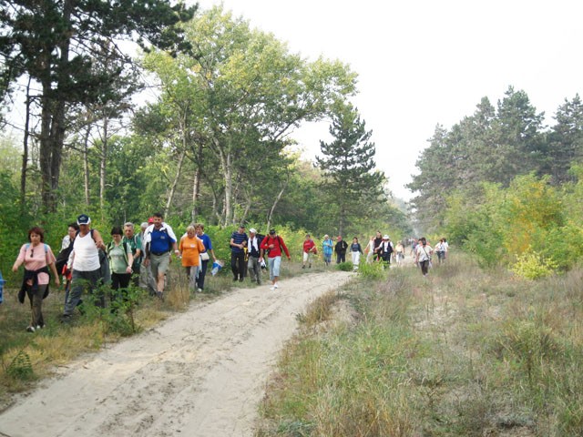 38. Palićki susreti