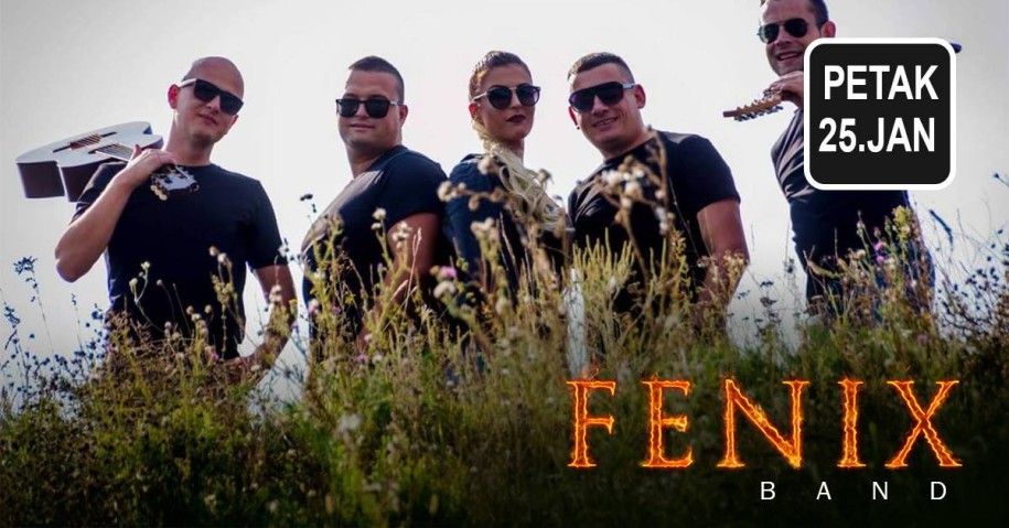 Fenix band