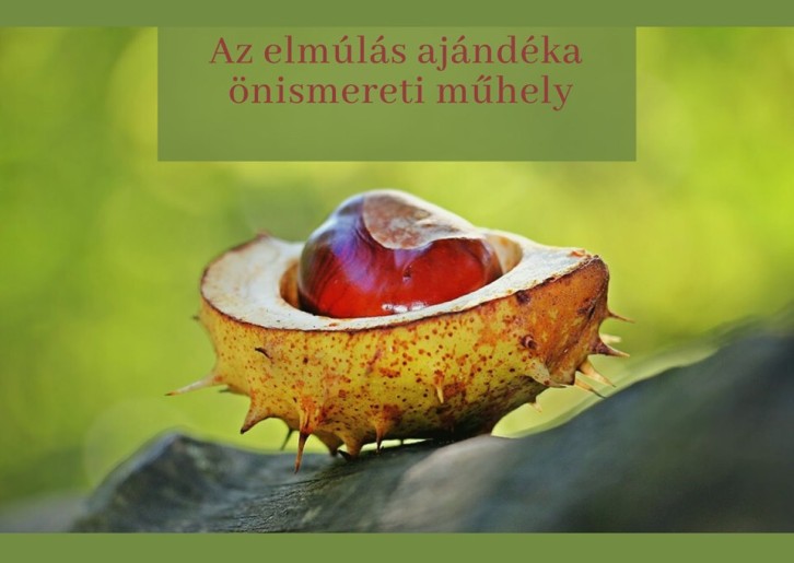 Radionica: Az elmúlás ajándéka - önismereti műhely