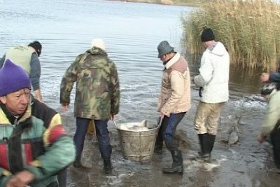 Poribljavanje jezera Skenderevo