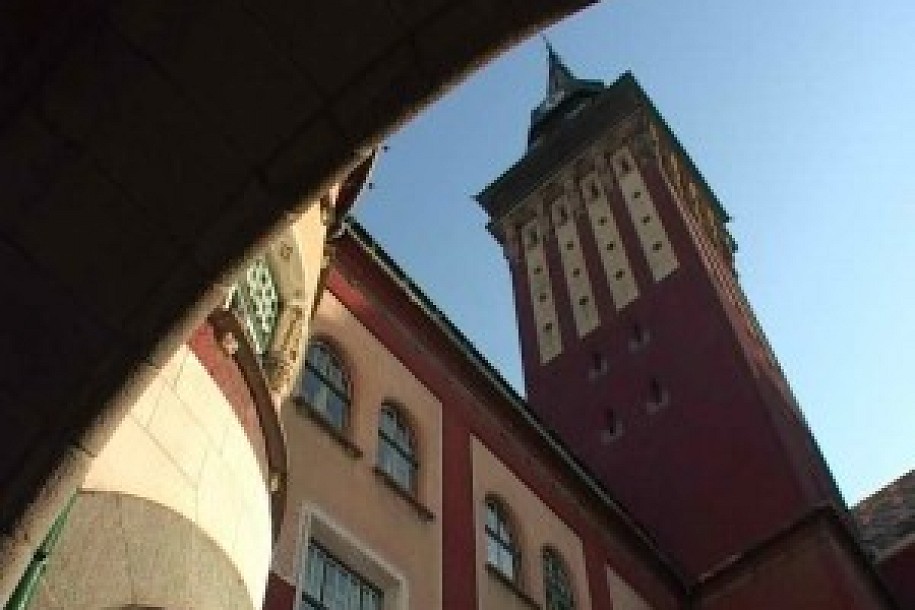 Javni uvid